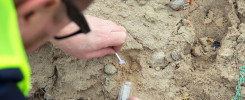 intersoil-ground-samples